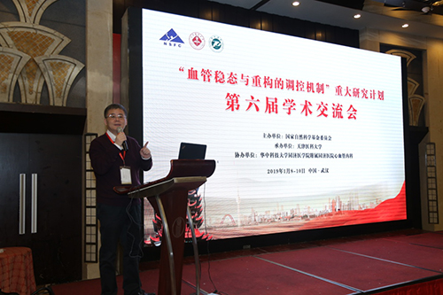 重大研究计划血管稳态与重构的调控机制201