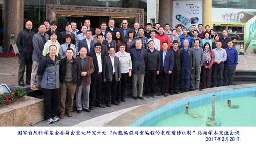 重大研究计划细胞编程与重编程的表观遗传机