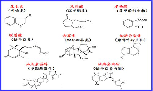 分子运用什么原理_运用创造学原理画图