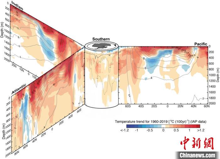 自1960年到2019年，全球四大洋中，不同纬度带上的0-2000米温度变化趋势(单位：摄氏度/百年)。红色为变暖、蓝色为变冷。灰色线为气候平均态温度(单位：摄氏度)。　中科院大气所/供图 摄