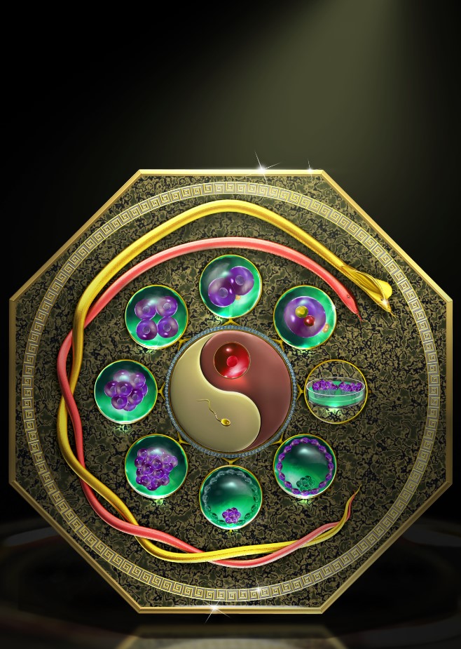 北京大学发表人类着床前胚胎发育的单细胞多组