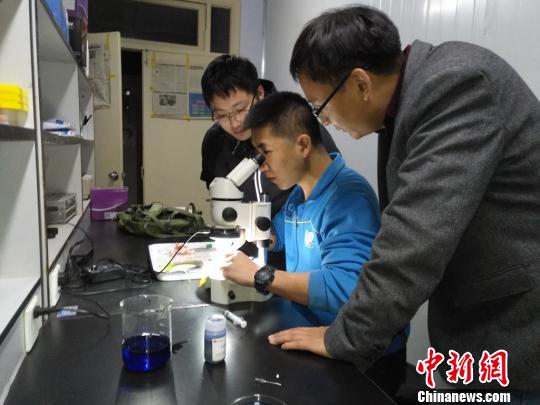 科研人员进行实验观察。　钟欣 摄