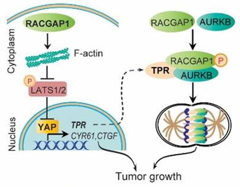 20180726_012230_766.jpg 图片1.jpg