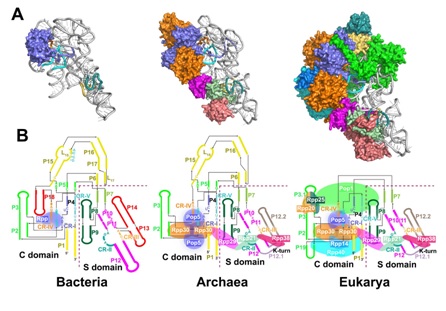 20181026_054441_222.jpg 配图.jpg