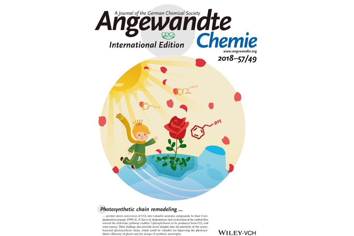 20181129_085219_770.jpg 3.3.jpg