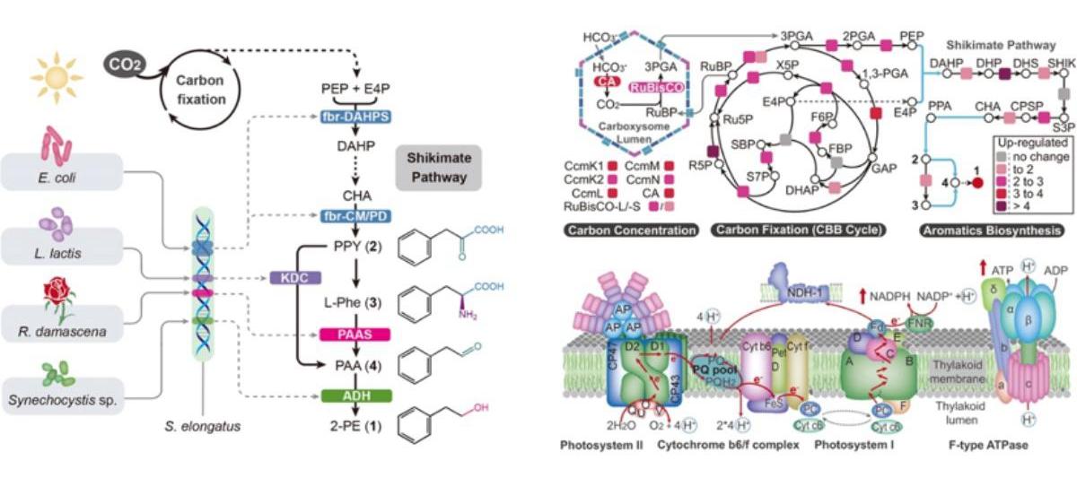 20181130_033258_106.jpg 01.jpg