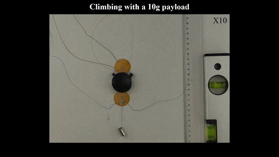 4.gif