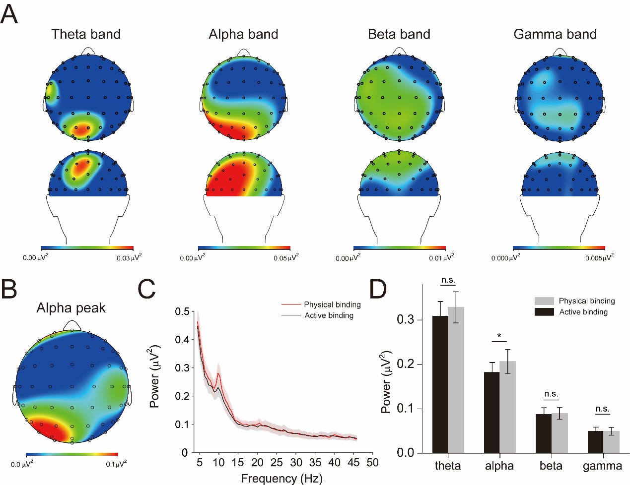 (a)不同频段的脑电信号地形图以及(b)alpha振荡峰值对应的信号的地形