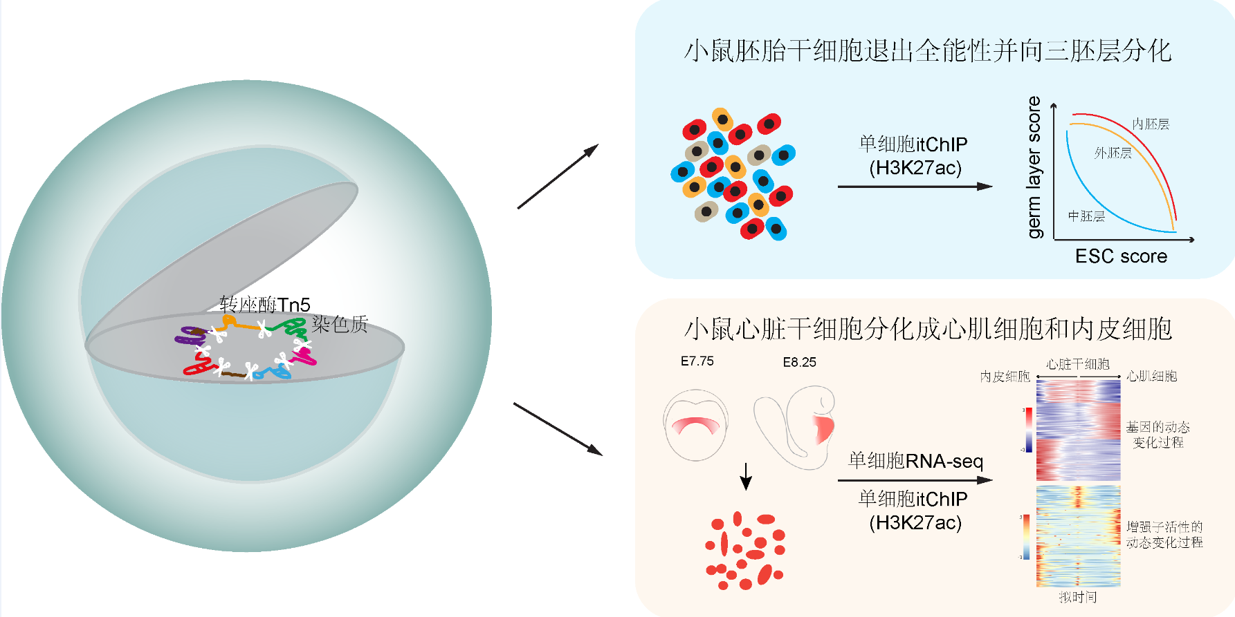 f0bad83c44904a63871a6f92730184fa.jpg 1567646466.jpg