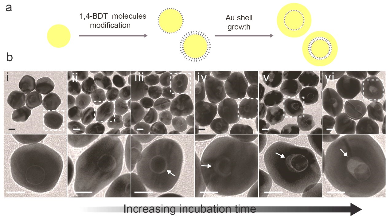 20180627_115825_132.jpg 11.jpg