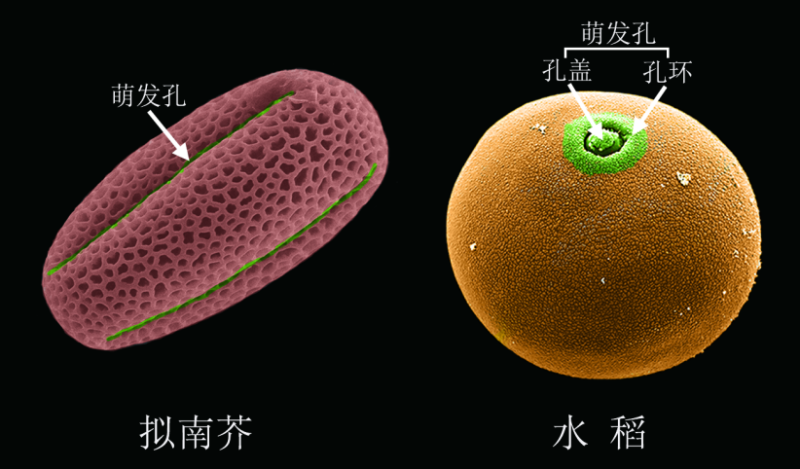 20200414_033527_228.png