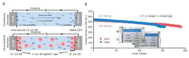tpxw2025-08-26-07.jpg tpxw2025-08-26-07.jpg
