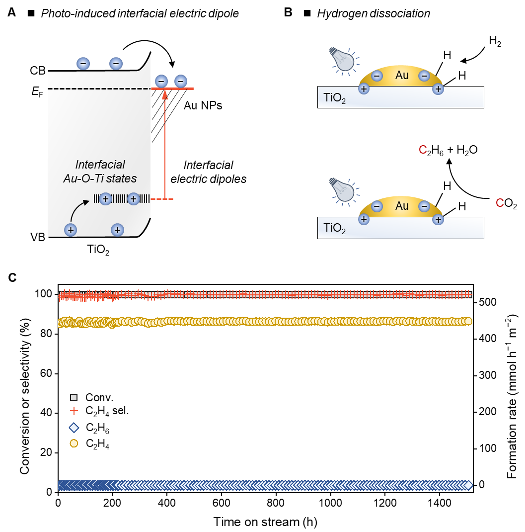 tpxw2025-10-13-02.png tpxw2025-10-13-02.png