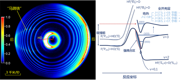tpxw2021-03-02-01.jpg tpxw2021-03-02-01.jpg